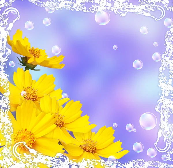 Virágok és a buborékoltató — Stock Fotó