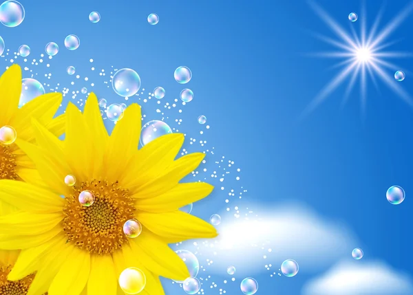 Sunflower and bubbles — Stock Photo, Image