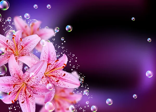 Lily och bubblor — Stockfoto