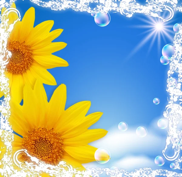 Sky and sunflowers — Stock Photo, Image