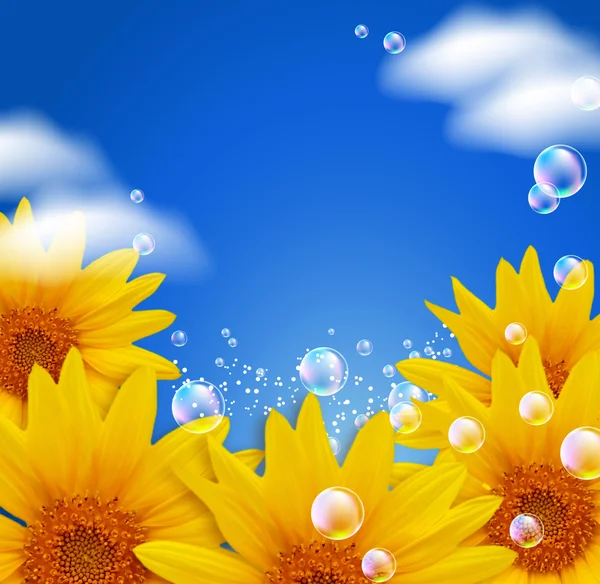 Himmel und Sonnenblumen — Stockfoto