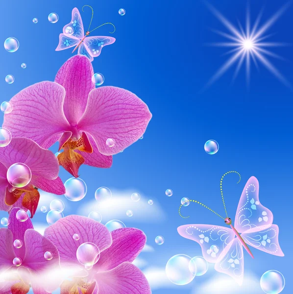 Orquídea e borboletas — Fotografia de Stock
