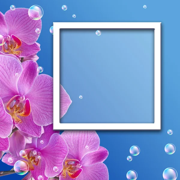 Orquídea e Moldura Fotográfica — Fotografia de Stock
