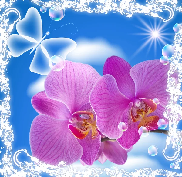 Orchidej a transparentní motýl — Stock fotografie
