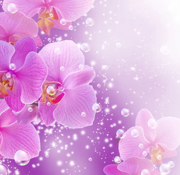 Orchidea és a buborékok — Stock Fotó