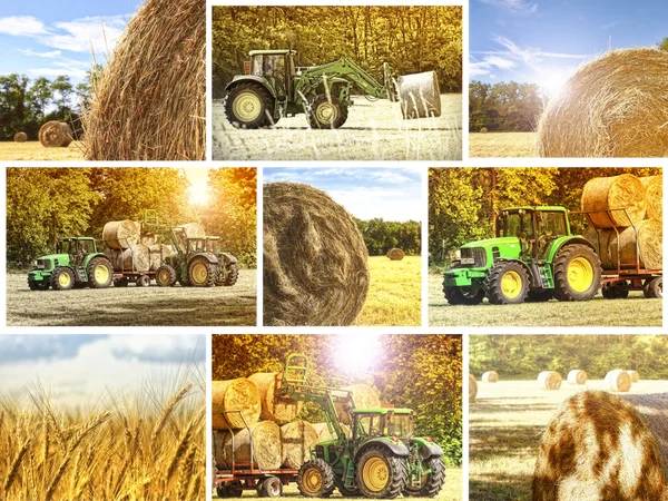 Agriculture background — Stock Photo, Image