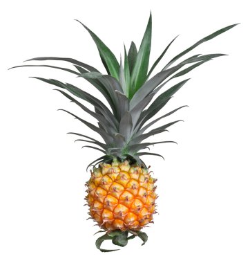 Ananas.