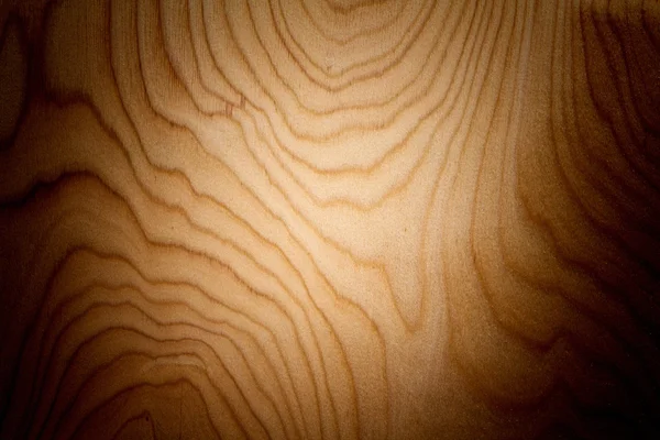 Wood panel background — Stock Photo, Image