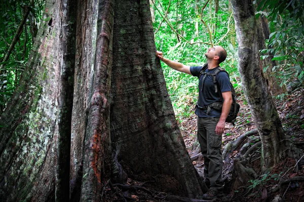Homem na selva de Bornéu — Fotografia de Stock