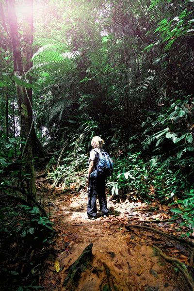 在婆罗洲丛林里的女人 — 图库照片