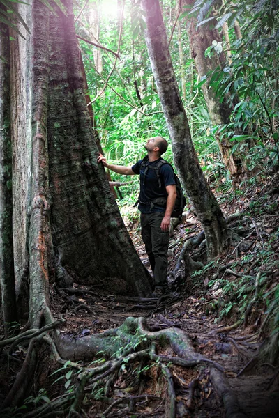 Homem na selva de Bornéu — Fotografia de Stock