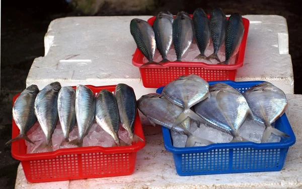 En el mercado de pescado — Foto de Stock