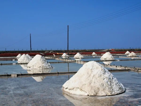 Sea Salt Harvest — Stock Photo, Image