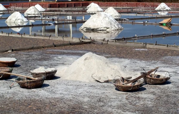 Sea Salt Paddies — Stock Photo, Image