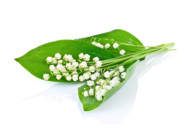 Bouquet of lilies of the valley clipart