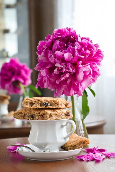 Een kopje thee en koekjes — Stockfoto