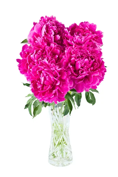 Bouquet of peonies in vase — Stock Photo, Image
