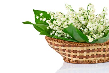 Bouquet of lilies of the valley in basket clipart