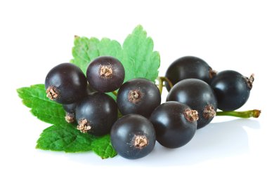 Blackcurrants clipart