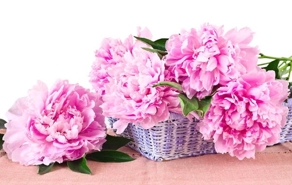 Mandje van roze pioenrozen — Stockfoto