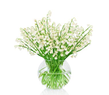 Bouquet of lilies of the valley clipart