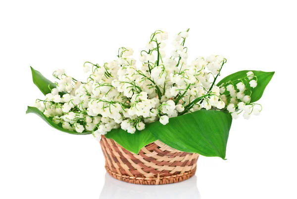 Bouquet of lilies of the valley in basket — Stock Photo, Image
