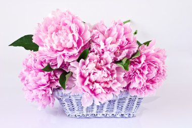 pembe peonies sepeti