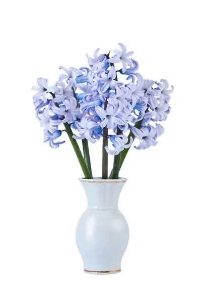 Bukett med blå hyacinter — Stockfoto