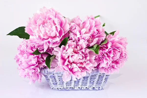 Basket of pink peonies — Stock Photo, Image