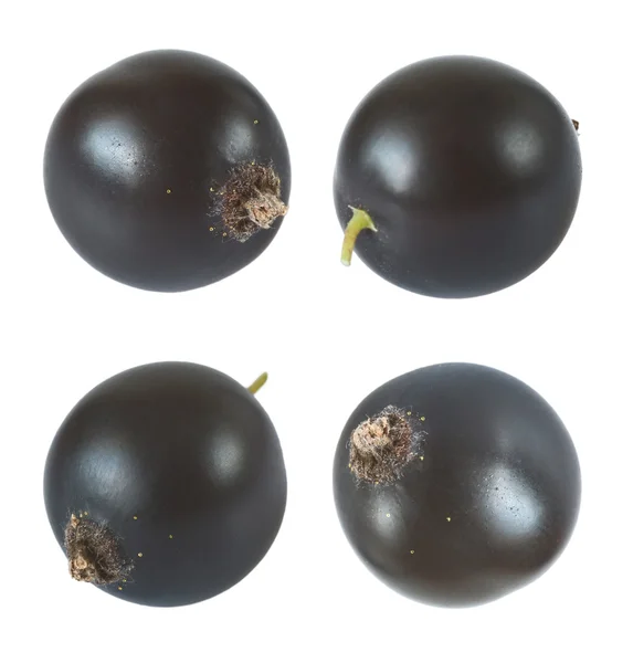 Ягоди чорної смородини макрос — стокове фото