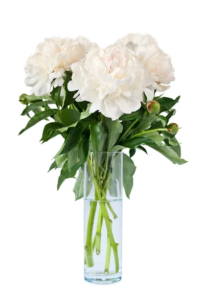 Kytice pivoněk v váza — Stock fotografie
