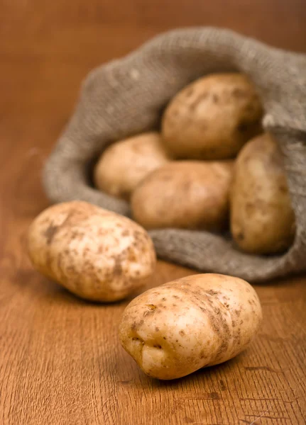 收获土豆 — 图库照片