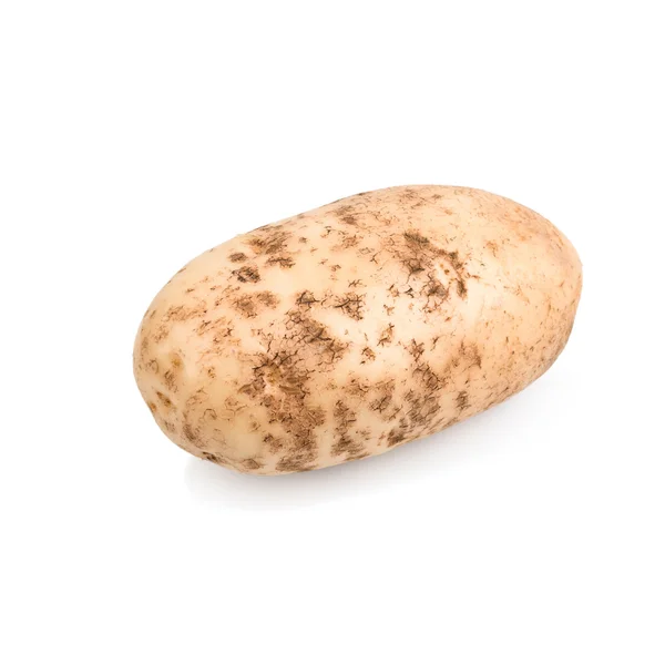 Eine rohe Kartoffelknolle — Stockfoto