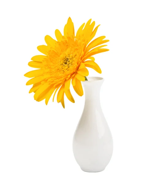 Yellow gerbera flower in vase — Stock Photo, Image