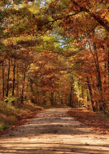 Landweg via herfst bomen — Stockfoto