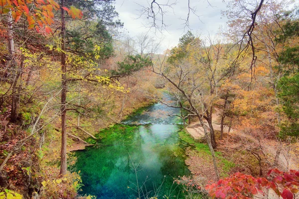 Осенние листья и деревья на реке — стоковое фото