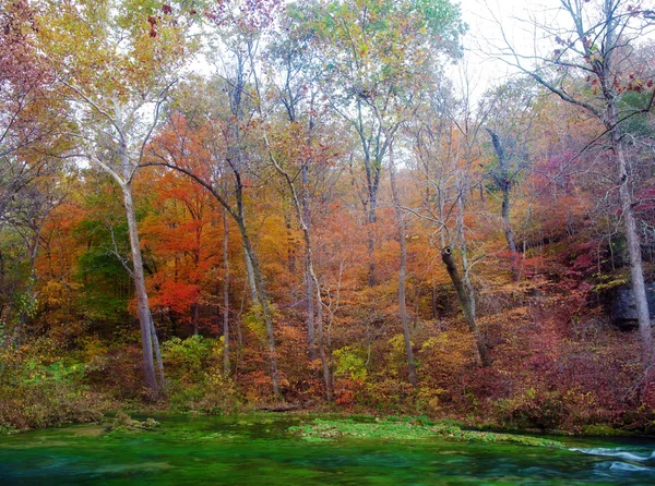 Jesienią liście i drzewa na rzece — Zdjęcie stockowe