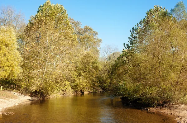 Podzimní listí a stromy na břehu řeky — Stock fotografie