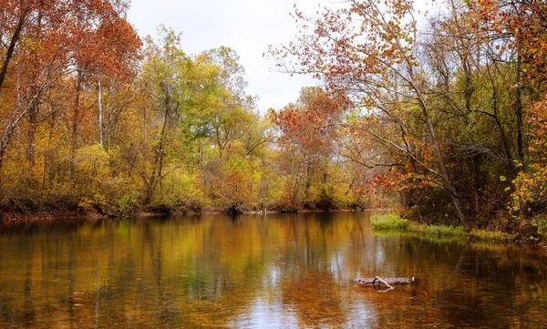 Podzimní listí a stromy na břehu řeky — Stock fotografie