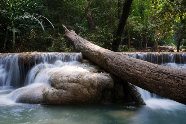Beautiful waterfall cascades — Stock Photo, Image