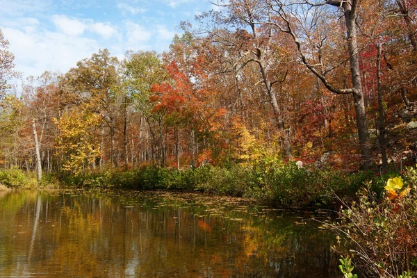 秋天的叶子和树河上 — 图库照片