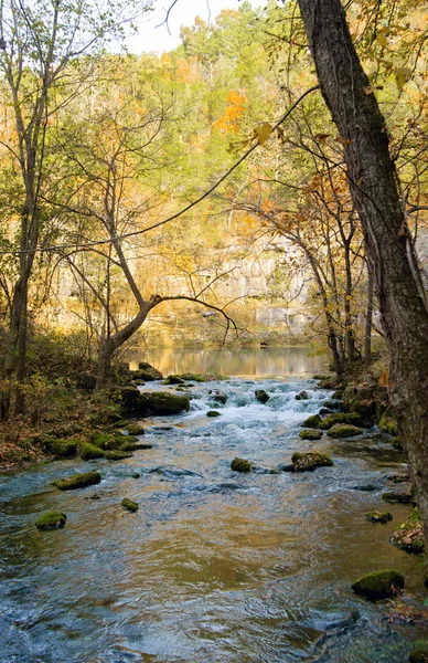 Petit ruisseau dans le Missouri — Photo