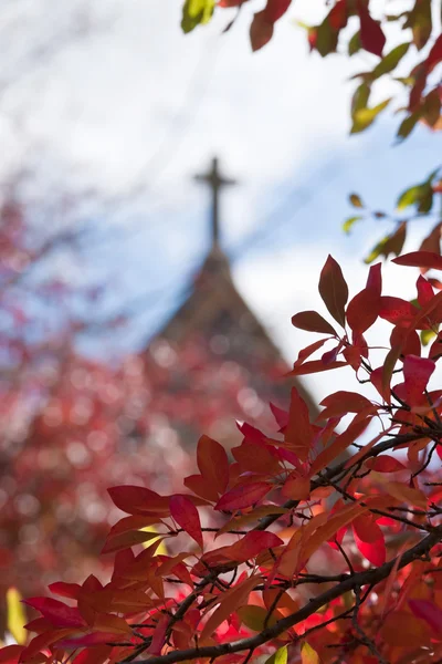 Cross through red autumn leaves — Stock Photo, Image