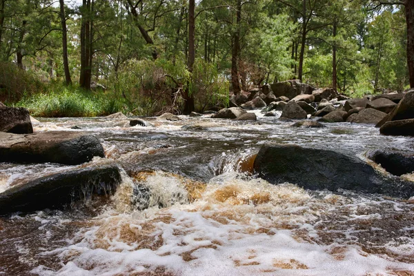 Rauschendes Wasser im Fluss — Stockfoto