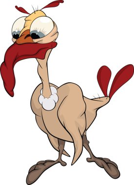 Turkey-cock. Cartoon clipart