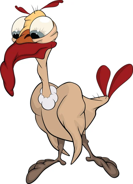 Turkey-cock. Cartoon — Stock Vector