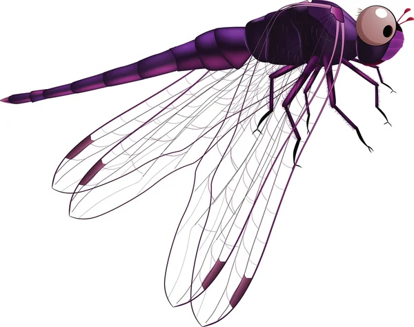 Dragonfly. Cartoon — Stock vektor