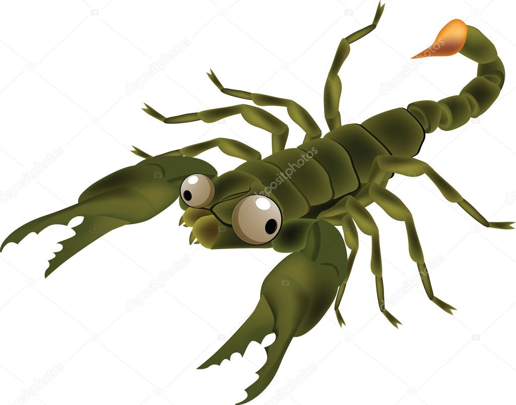 Insect scorpion.Cartoon