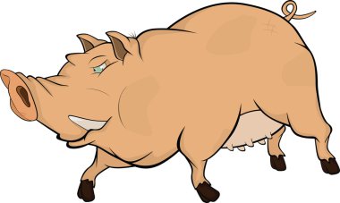 yaban domuzu .cartoon