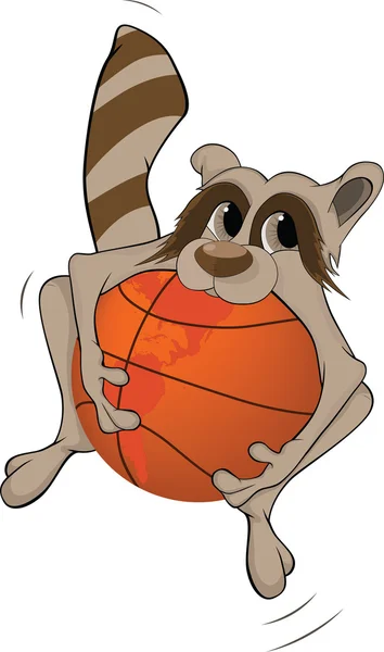 Waschbär und Basketballball. Karikatur — Stockvektor